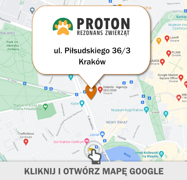 Lokalizacja pracowni rezonansu na mapie Krakowa